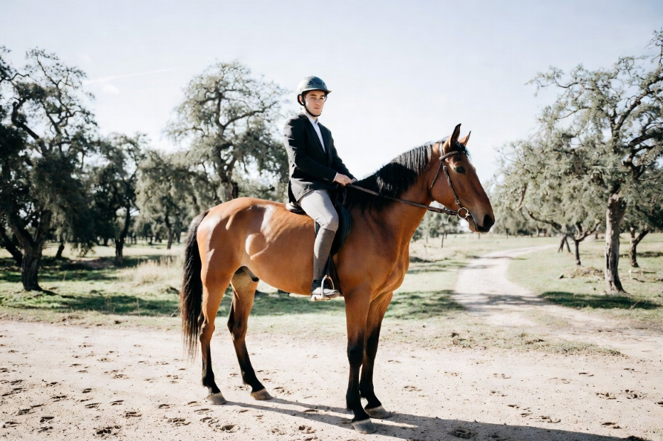 Can you get a DUI on a horse